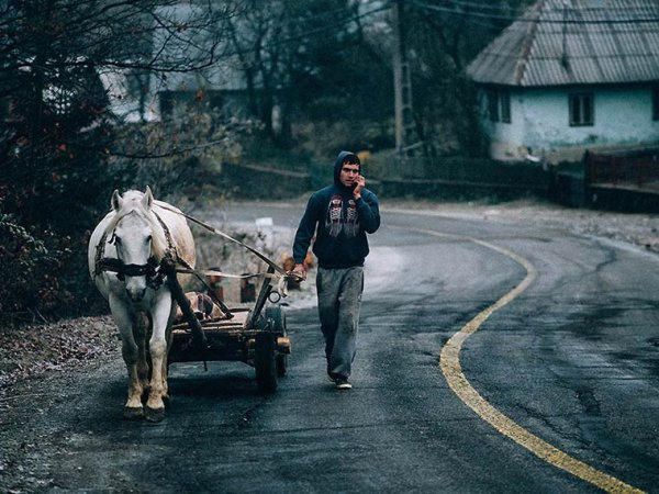 Снимка: Хайду Тамас