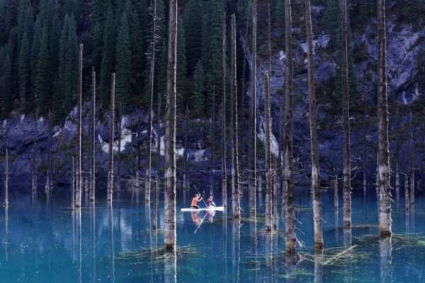 Във водата дори през зимата. Снимка: klikabol.mirtesen.ru