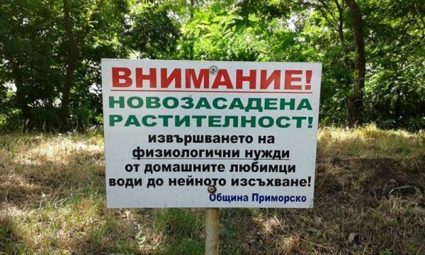 Така, де...с две думи: не наторявайте новозалесената растителност. Снимка: Facebook