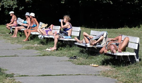 Възрастни дами на припек в столичен парк. Снимка: БТА