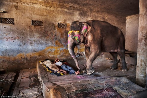 Снимка: Steve McCurry