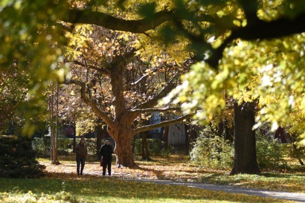 Време за разходка сред природата в топлия следобед в София. Снимка: Булфото