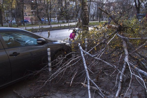 Снимка: Булфото