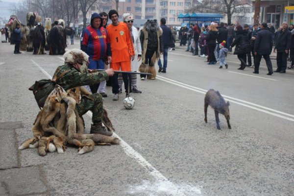 Снимка: Булфото