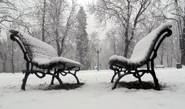 Снимка: Булфото