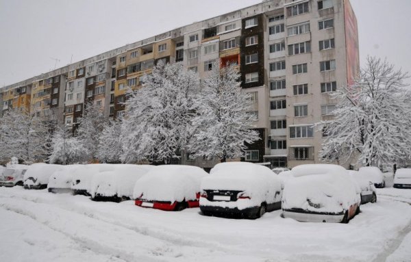 Снимка: Булфото