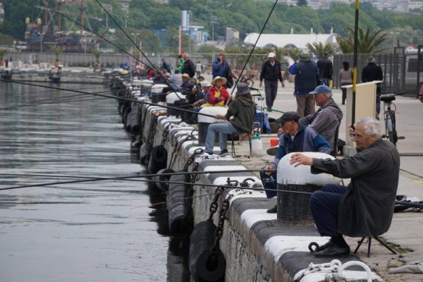 Стотици рибари се наредиха по кея на Морска гара във Варна заради пасажи сафрид, които навлязоха във варненския залив. Снимка: Булфото