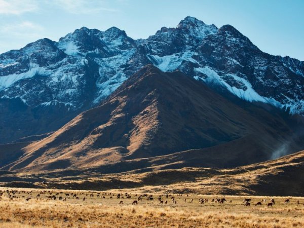 Andean Explorer ще преминава през едни от най-високите железопътни линии, достигайки близо 4900 метра надморска височина Снимка: Belmond