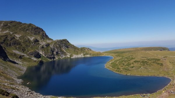 Бъбрека няма нужда от представяне. Снимка: Личен архив