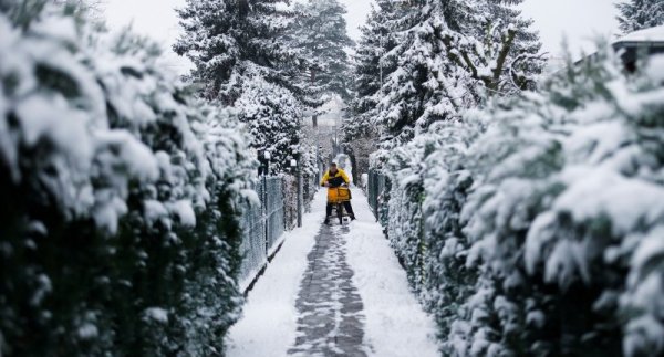 Пощальон разнася поща с колелото си в снега в германската столица Берлин. Снимка: Reuters