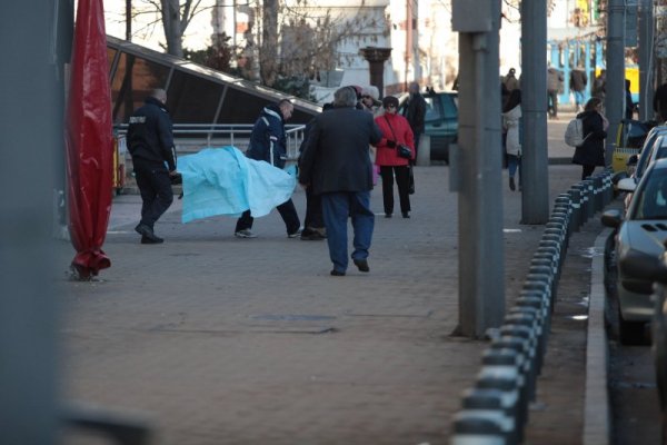 Снимка: Димитър Кьосемарлиев, Dnes.bg