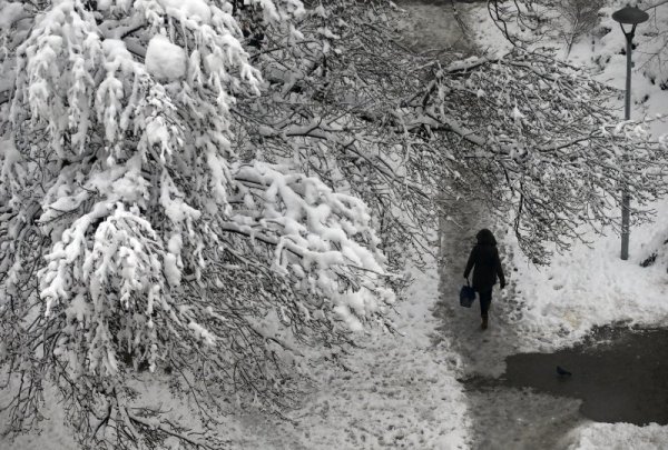 Жена бърза за работа сред падналия сняг в парк в Белград. Снимка: БТА