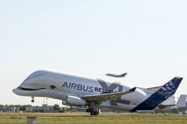 Новият транспортен Airbus Beluga XL извърши първото си излитане от летището в Тулуза. Airbus стартира 10-месечна кампания на изпитания на самолета, преди да бъде пуснат в експлоатация през 2019 година. Снимка: БТА