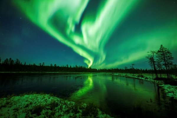 Северно сияние (Aurora Borealis) краси небето над градче във Финландия. Снимка: Reuters