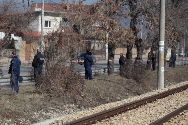 Снимка: Димитър Кьосемарлиев, Dnes.bg