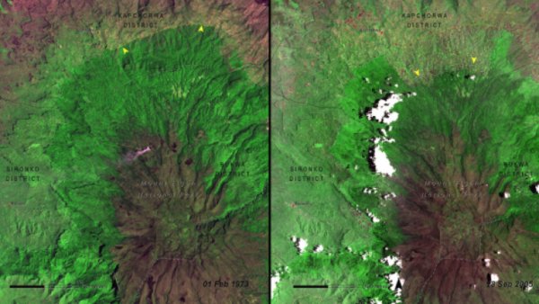 Кадри от един от националните паркове на Уганда разкриват шокиращи загуби на дървесна маса за периода 1973 г. - 2005 г.
Снимка: НАСА