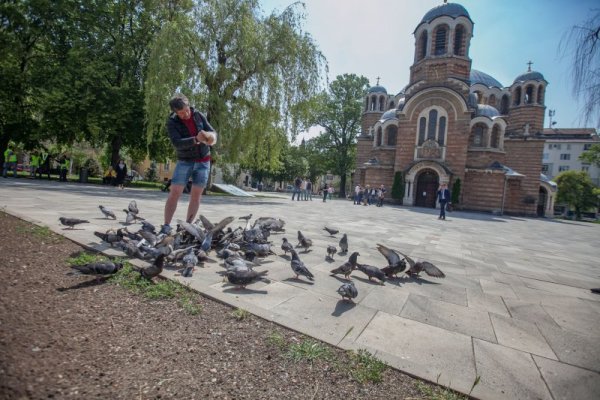 Снимка: Димитър Кьосемарлиев, Dnes.bg