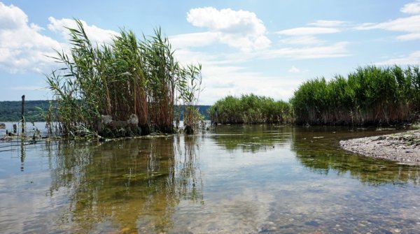 Варненското езеро е най-големият и дълбок воден басейн по черноморското ни крайбрежие. То има продълговата форма, като южният бряг на езерото е висок и стръмен, докато северният е полегат. След построяването на варненското пристанище през 1909, между езерото и морето е прокопан плавателен канал, в резултат на което в езерото навлиза морска вода. Заблатените места край бреговете на езерото стават достъпни за стопанска дейност и отдих. Снимка: БТА