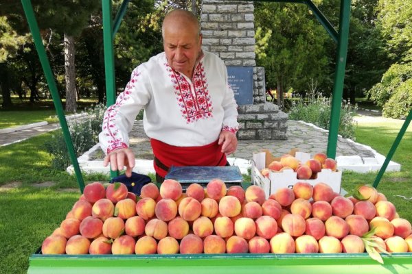 Село Гавраилово за осемнадесети път е домакин на празника &quot;Златна праскова&quot;, където се събират овощари от цялата страна. Снимка: БТА