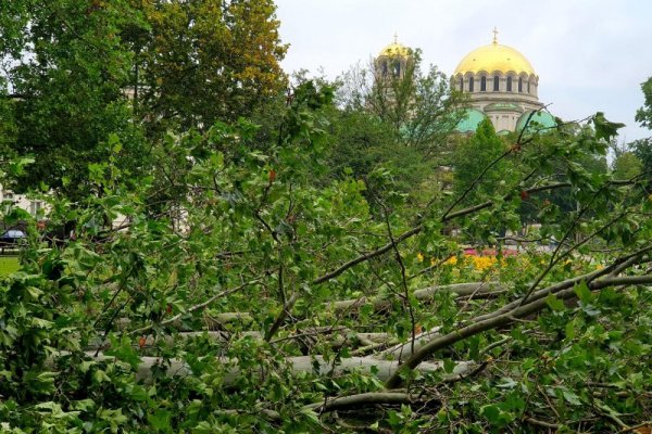 Снимка: Булфото