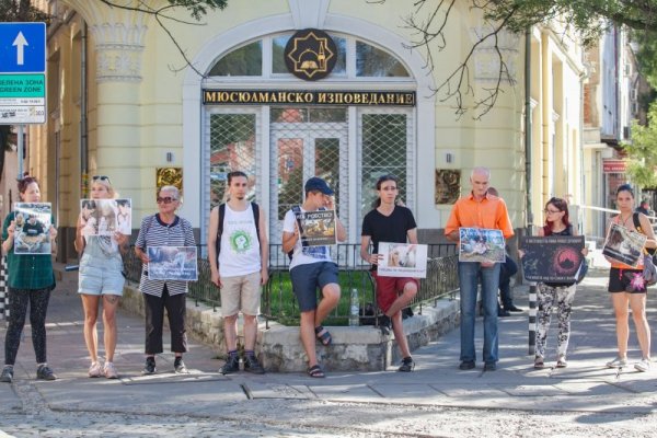 Снимка: Димитър Кьосемарлиев, Dnes.bg