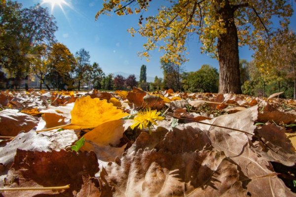 Снимка: Димитър Кьосемарлиев, Dnes.bg