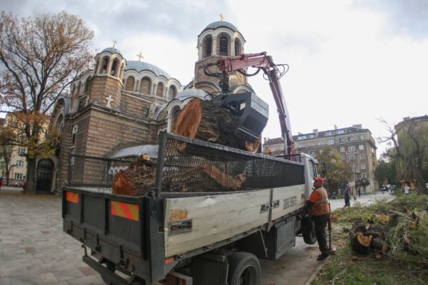 Снимка: Димитър Кьосемарлиев, Dnes.bg