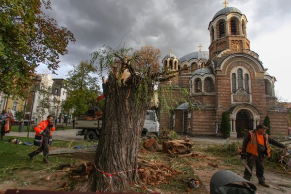 Снимка: Димитър Кьосемарлиев, Dnes.bg