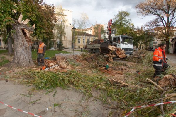 Снимка: Димитър Кьосемарлиев, Dnes.bg