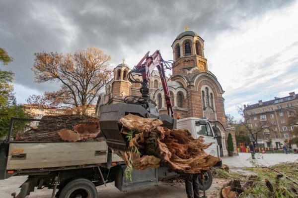 Снимка: Димитър Кьосемарлиев, Dnes.bg