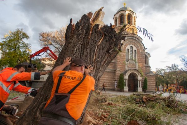 Снимка: Димитър Кьосемарлиев, Dnes.bg