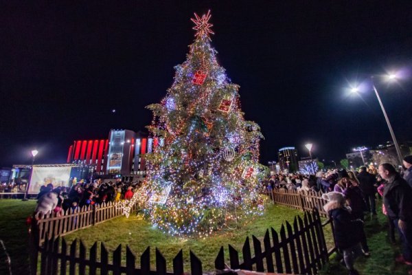 Снимка: Димитър Кьосемарлиев, Dnes.bg