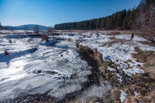 Снимка: Димитър Кьосемарлиев, dnes.bg