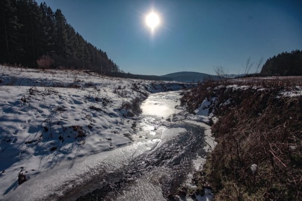 Снимка: Димитър Кьосемарлиев, dnes.bg