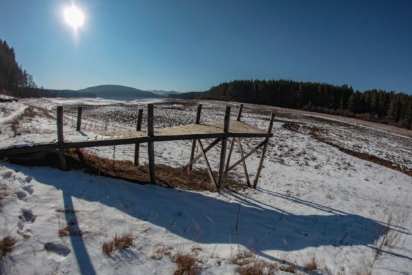 Снимка: Димитър Кьосемарлиев, dnes.bg