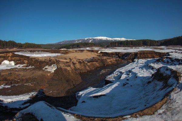 Снимка: Димитър Кьосемарлиев, dnes.bg