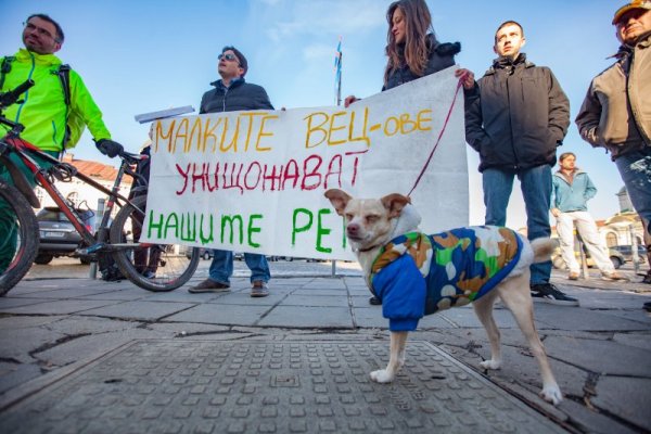 Снимка: Димитър Кьосемарлиев, dnes.bg