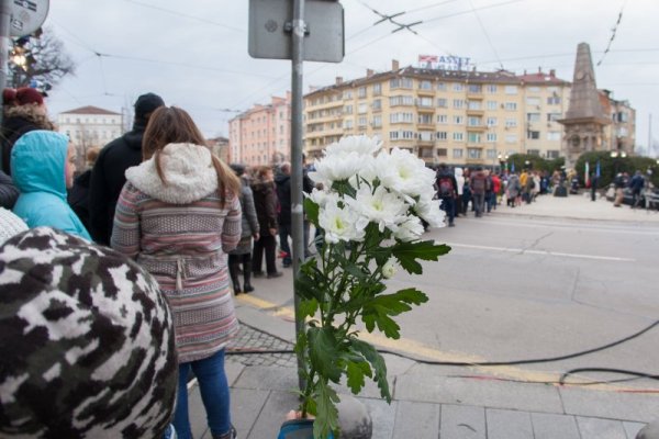 Снимка: Димитър Кьосемарлиев, Dnes.bg