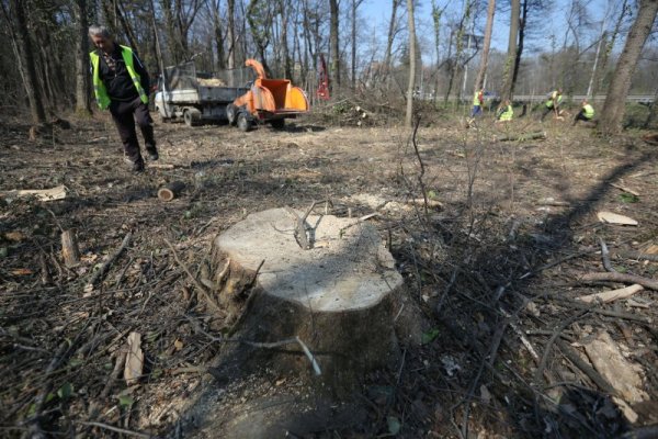 Снимка: Димитър Кьосемарлиев, Dnes.bg