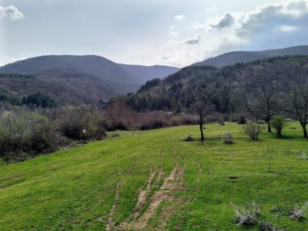 Красиви пролетни картини от Родопите. Снимка: Павел Гълъбов, Dnes.bg