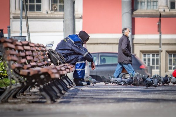 Снимка: Димитър Кьосемарлиев, Dnes.bg