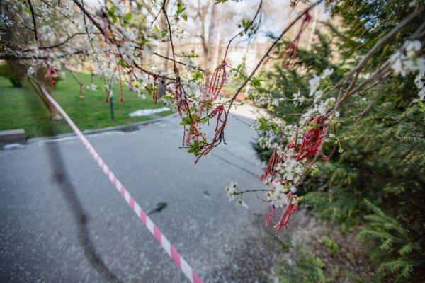 Снимка: Димитър Кьосемарлиев, Dnes.bg