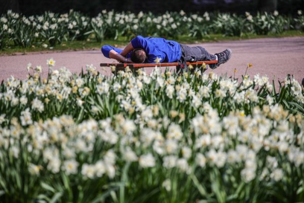 Мъж си почива на слънце върху пейка в германския град Франкфурт. Снимка: БГНЕС