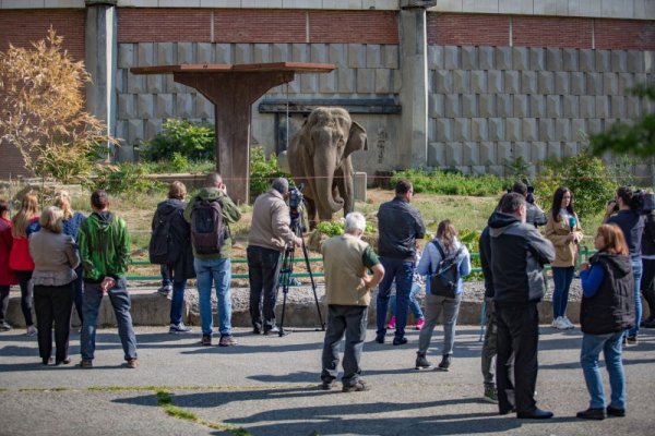 Снимка: Димитър Кьосемарлиев, Dnes.bg