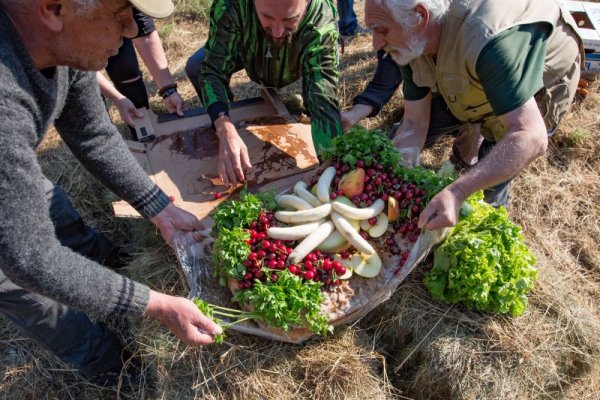 Празникът се състоя тази сутрин, а десертът съдържаше продукти, които са част от всекидневното меню на Артайда в зоопарка. Снимка: Димитър Кьосемарлиев, Dnes.bg