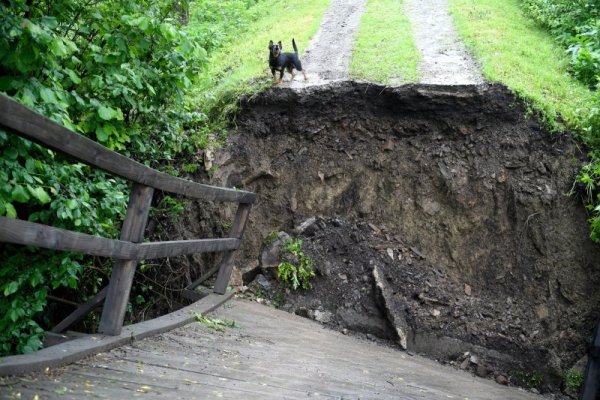 Куче лае край пропаднал дървен мост край село в Полша. Поройни дъждове в някои части на страната доведоха до проблеми в няколко села, като нанесоха поражения по инфраструктурата. Снимка: БГНЕС