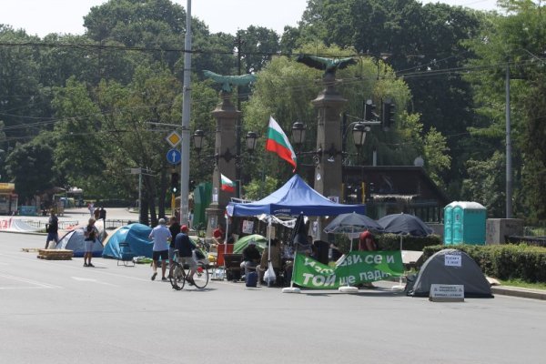 Снимка: Димитър Кьосемарлиев, Dnes.bg