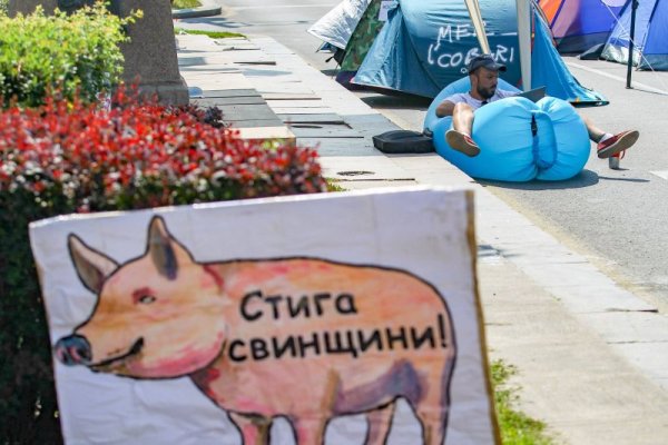 Снимка: Димитър Кьосемарлиев, Dnes.bg