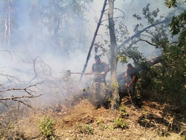 Военнослужещи от Сухопътните войски продължават да участват в потушаването на пожара в Свиленградско. Снимка: МО