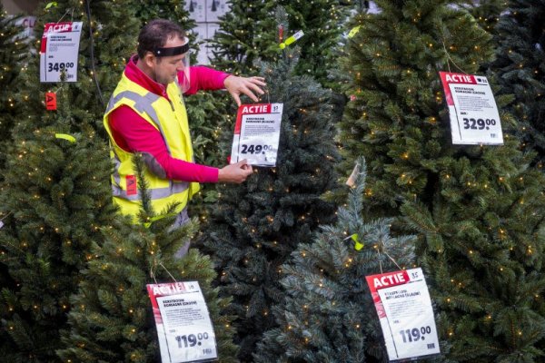 В продажба вече са дори коледните дръвчета. Снимка: БГНЕС